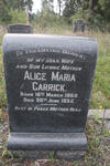 CARRICK Alice Maria 1869-1935