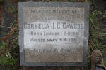 CAWOOD Cornelia J.C. nee LEMMER 1891-1941