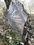 Eastern Cape, MPOFU district, Coems 1005, farm cemetery