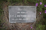 PIETERSE D.C.J. 1930-1931