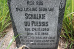 PLESSIS Schalkie, du 1945-1950