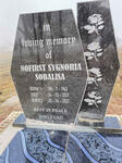 SOBALISA Nofirst Sygnoria 1963-2021