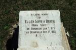 BRICK William Edmund 1859-1940 & Ellen Sophia SCOTT 1871-1955