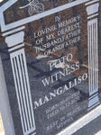 MANGALISO Foto Witness 1958-2020