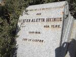 MEIRING Hester Aletta nee VLOK 1856-1918