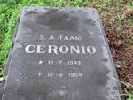 CERONIO S.A. 1943-1984