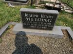MEIRING Joseph Henry 1925-1996