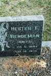 BENDEMAN Hester F. nee BRITS 1894-1970
