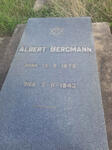 BERGMANN Albert 1879-1943