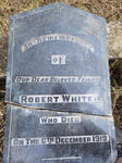 WHITE Robert -1919