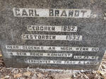 BRANDT Carl 1852-1933