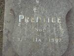 PRENTICE -1907