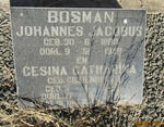 BOSMAN Johannes Jacobus 1880-1958 & Gesina Catherina GILDENHUYS 1900-1972