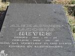 HEYNS Alexander Jacobus 1907-2002