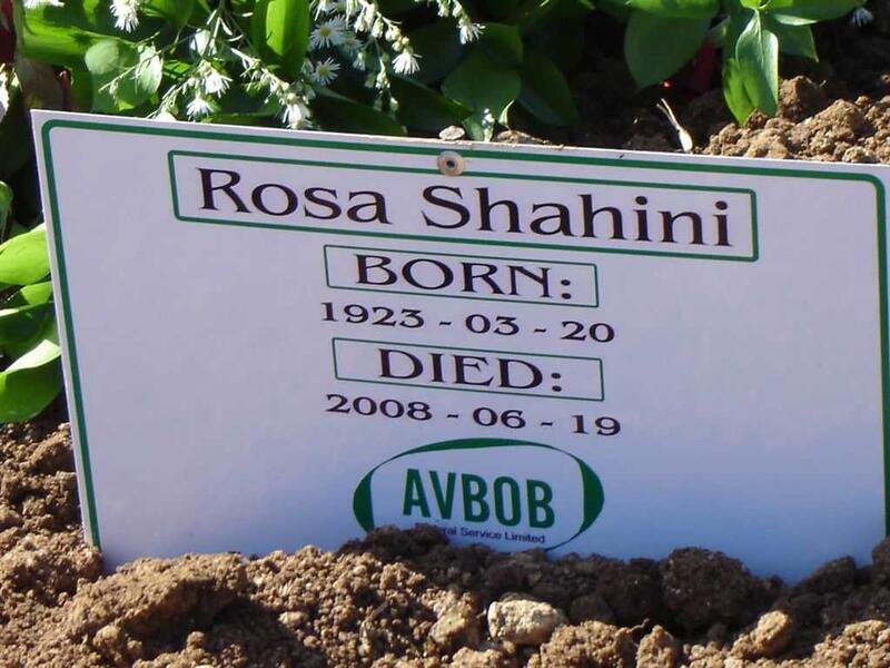 SHAHINI Rosa 1923-2008