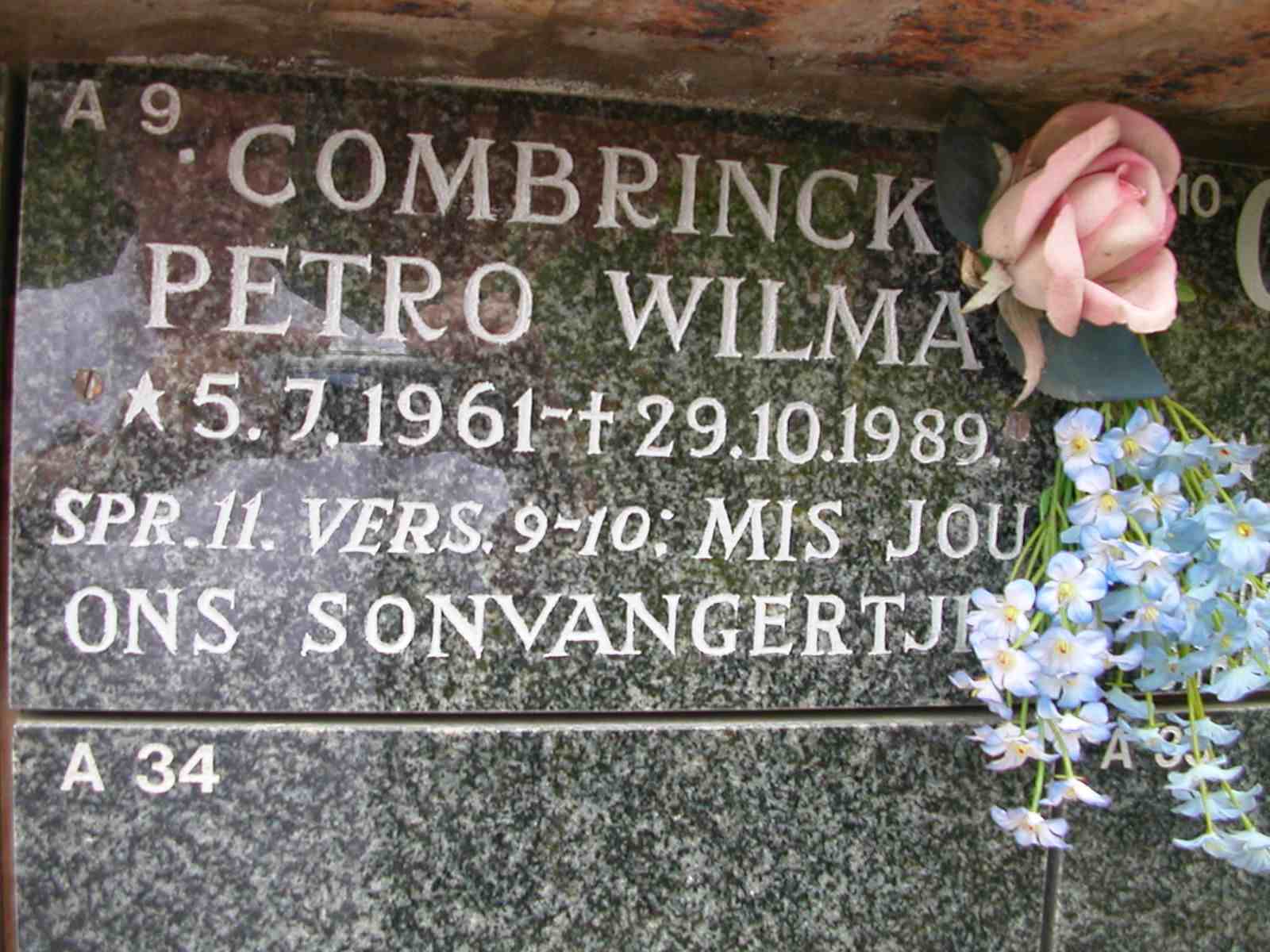 COMBRINK Petro Wilma 1961-1989