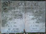 COLLING James 1905-1987 & Johanna 190?-1981