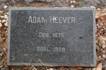HEEVER Adam 1875-1958