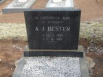 BESTER A.J.  1903-1982