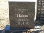 BATHGATE J. -1901