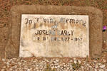 CAREY Joseph 1877-1947