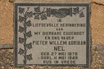 NEL Pieter Willem Adriaan 1878-1949