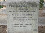 TEENGS Nico C. 1892-1911
