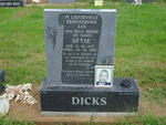 DICKS Attie 1977-2007
