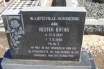 BOTHA Hester 1897-1980