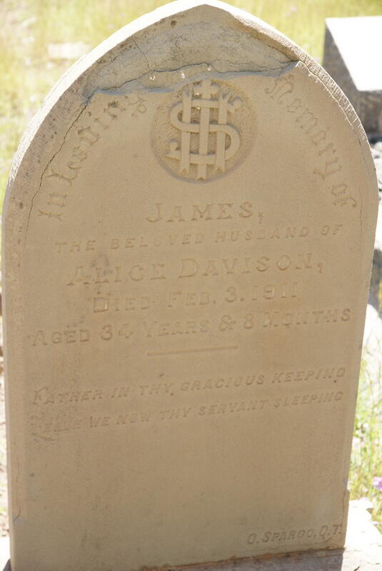 DAVISON James -1911