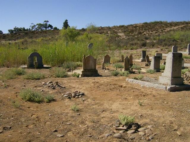 5. View on the cemetery