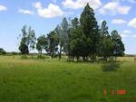 Free State, KROONSTAD district, Heuningspruit, Plessis Statie 1494, farm cemetery