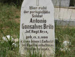 BRITO Antonio Gonsalves 1890-1915