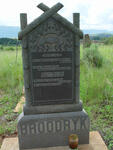 Mpumalanga, LYDENBURG district, Schaapkraal, farm cemetery