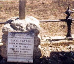 TAYLOR Corrie 1885-1892