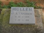 MÜLLER J.A. 1934-1991