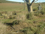 Western Cape, RIVERSDALE district, Albertinia, Baakfontein 237, Cooper Siding, farm cemetery