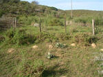 Western Cape, RIVERSDALE district, Albertinia, Valsch Riviers Mond 333, farm cemetery
