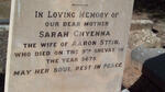 STEIN Sarah Chyenna  -1918