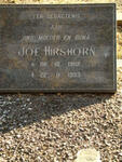 HIRSHORN Joe 1902-1993