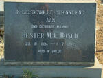 BOSCH Hester M.C. 1894-1972