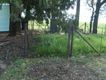 1. Entrance to Rooibult farm cemetery