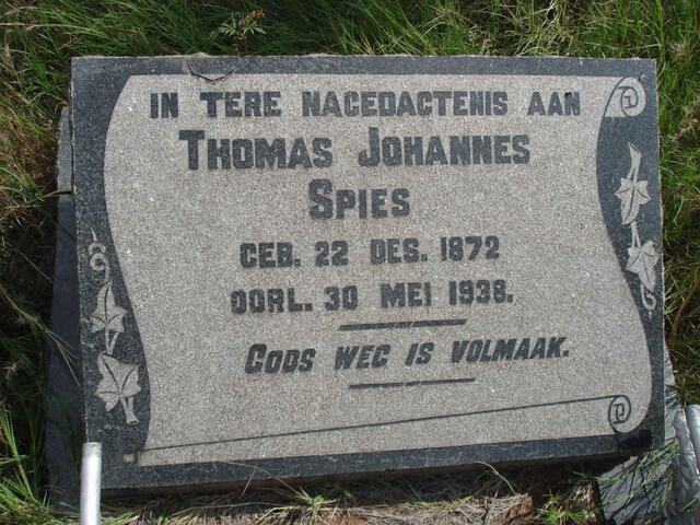 SPIES Thomas Johannes 1872-1938