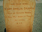 COLEMAN Mary Amelia -1909