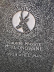 HLONGWANE P. -1943