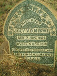 MERWE Joey, van der 1884-1918