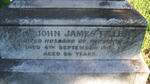 FILLEUL John James -1910