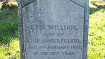 FILLEUL John William -1933