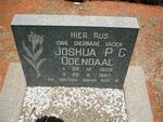 ODENDAAL Joshua P.C. 1905-1967