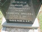 ODENDAAL Cornelia Johanna 1922-1977
